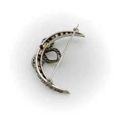 Broche croissant de lune en diamant