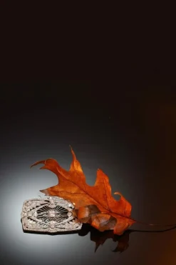 Broche diamant