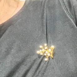 Broche en or avec perles