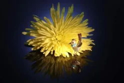 Broche ornée de bijoux