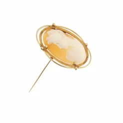 Broche pendentif camée