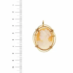 Broche pendentif camée