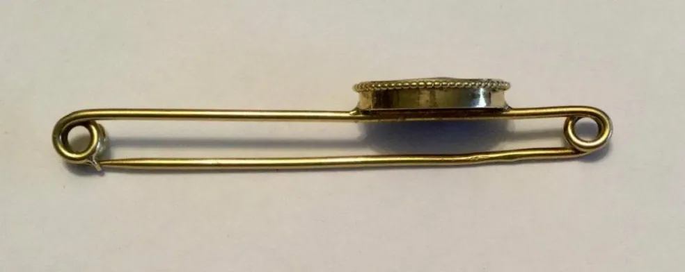 Broche/epingle en Or jaune & émail