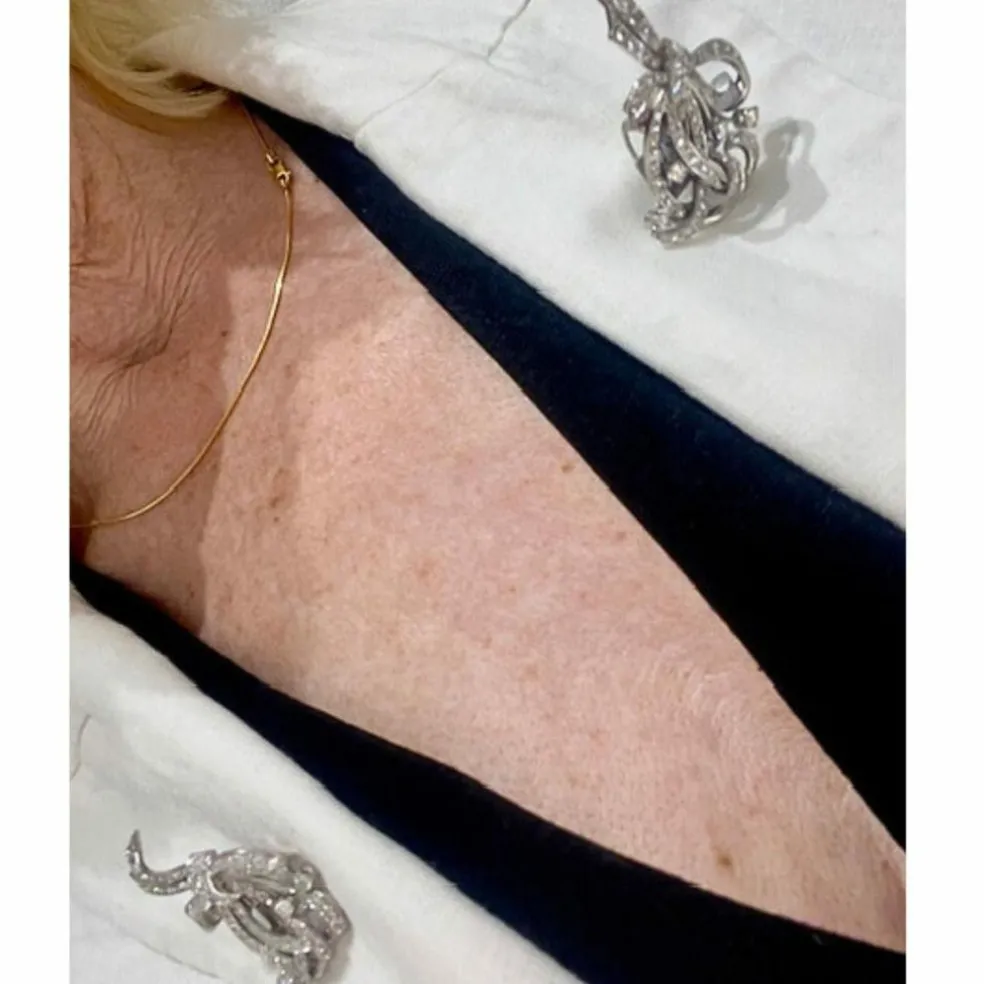 Broches à revers en platine au design rétro avec diamants