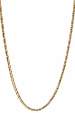 Chaine maille Palmier Or jaune