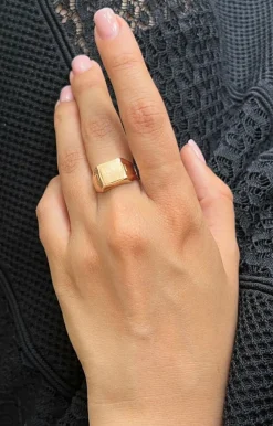 Chevalière In 18 Carat Gold