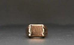 Chevalière In 18 Carat Gold