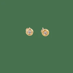 Clous d'oreilles Diamants sertis clos