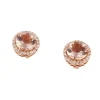 Clous d'oreilles Kunzites