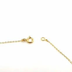 Collier 3 ors