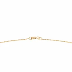 Collier Chaîne Or rose