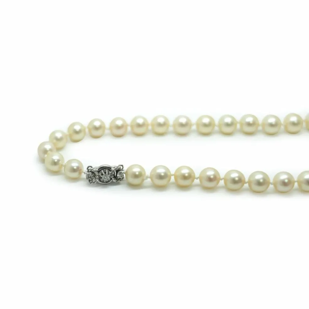 Collier Choker, perles d'Akoya 8.2 mm