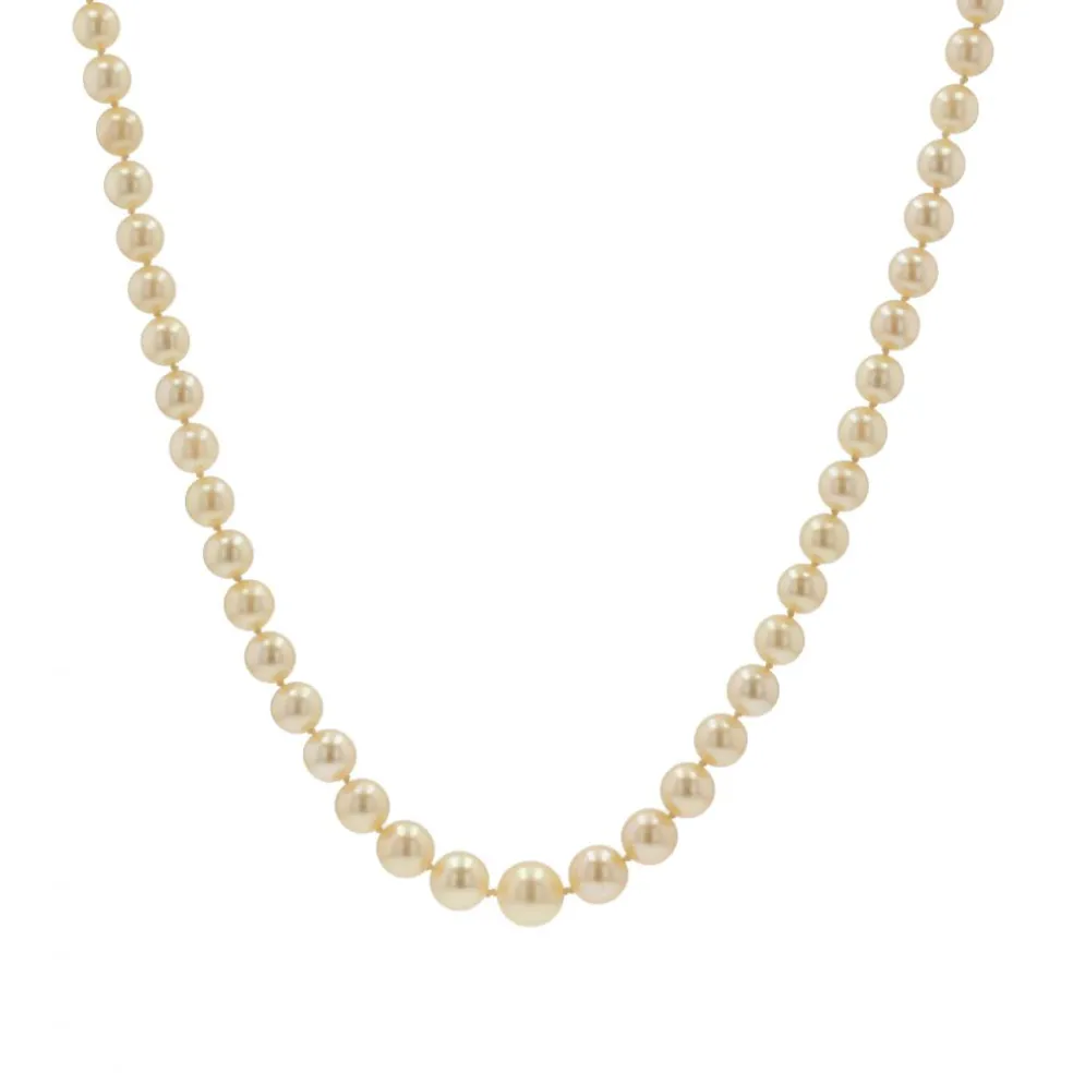 Collier chute de perles de culture dorées