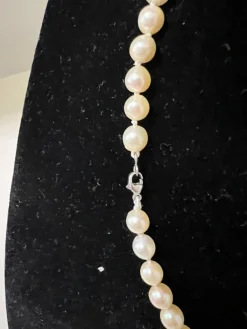Collier de 50 perles de culture Akoya fermoir or blanc