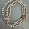 Collier de Chien Perles 3 Rangs Fermoir Corail