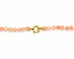 Collier de corail des grands fonds dégradé