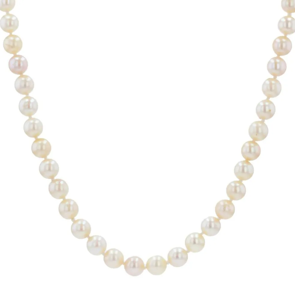 Collier de perles de culture choker