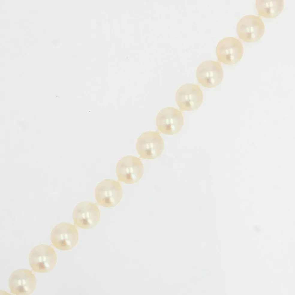 Collier de perles de culture en choker