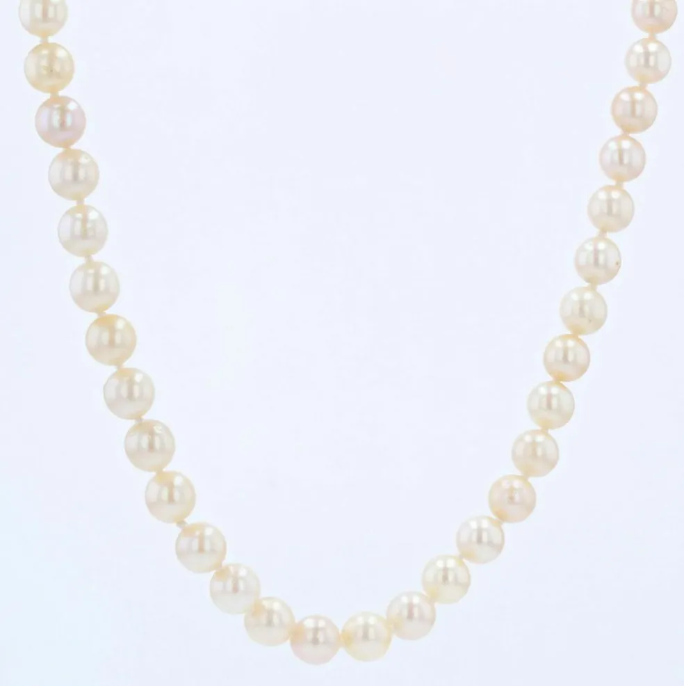 Collier de perles de culture choker