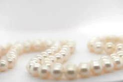 Collier de perles de culture blanches