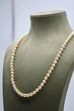 Collier de perles de culture blanches