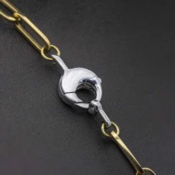 Collier en Or Jaune et Blanc
