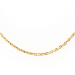 Collier Forçat Or jaune