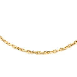 Collier Maille forçat Or jaune