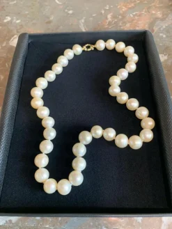 Collier Perle 11mm Or Jaune 18 Carats
