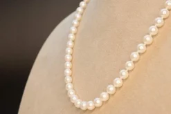 Collier Perles Akoya Or