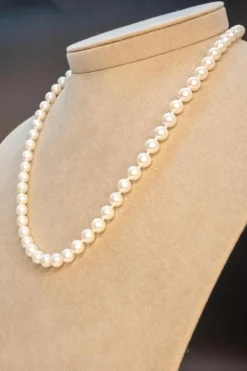 Collier Perles Akoya Or