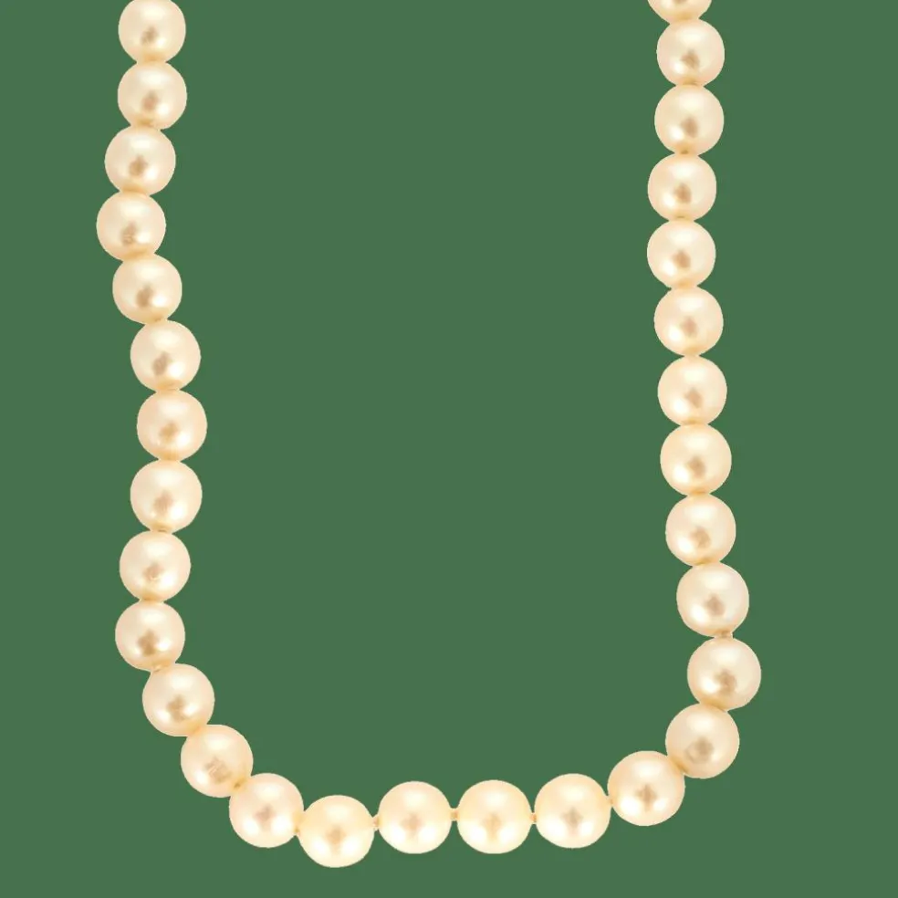 Collier Perles Akoya or jaune