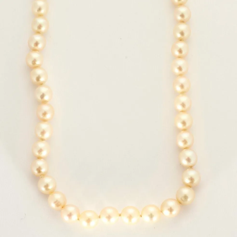 Collier Perles Akoya or jaune