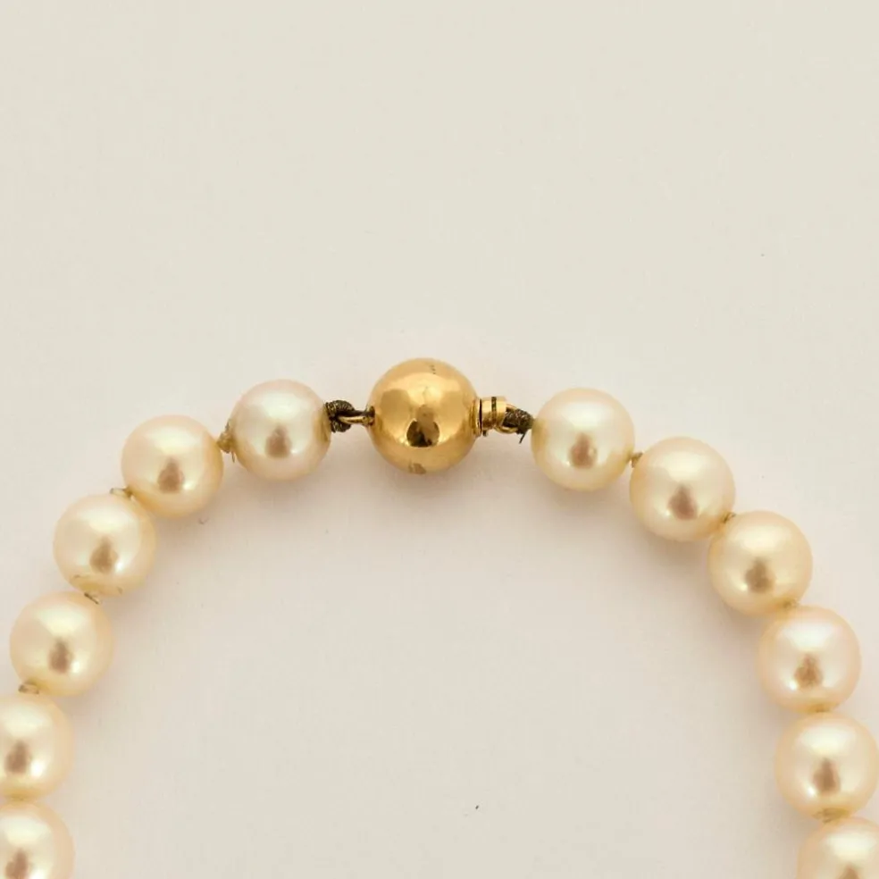 Collier Perles Akoya or jaune