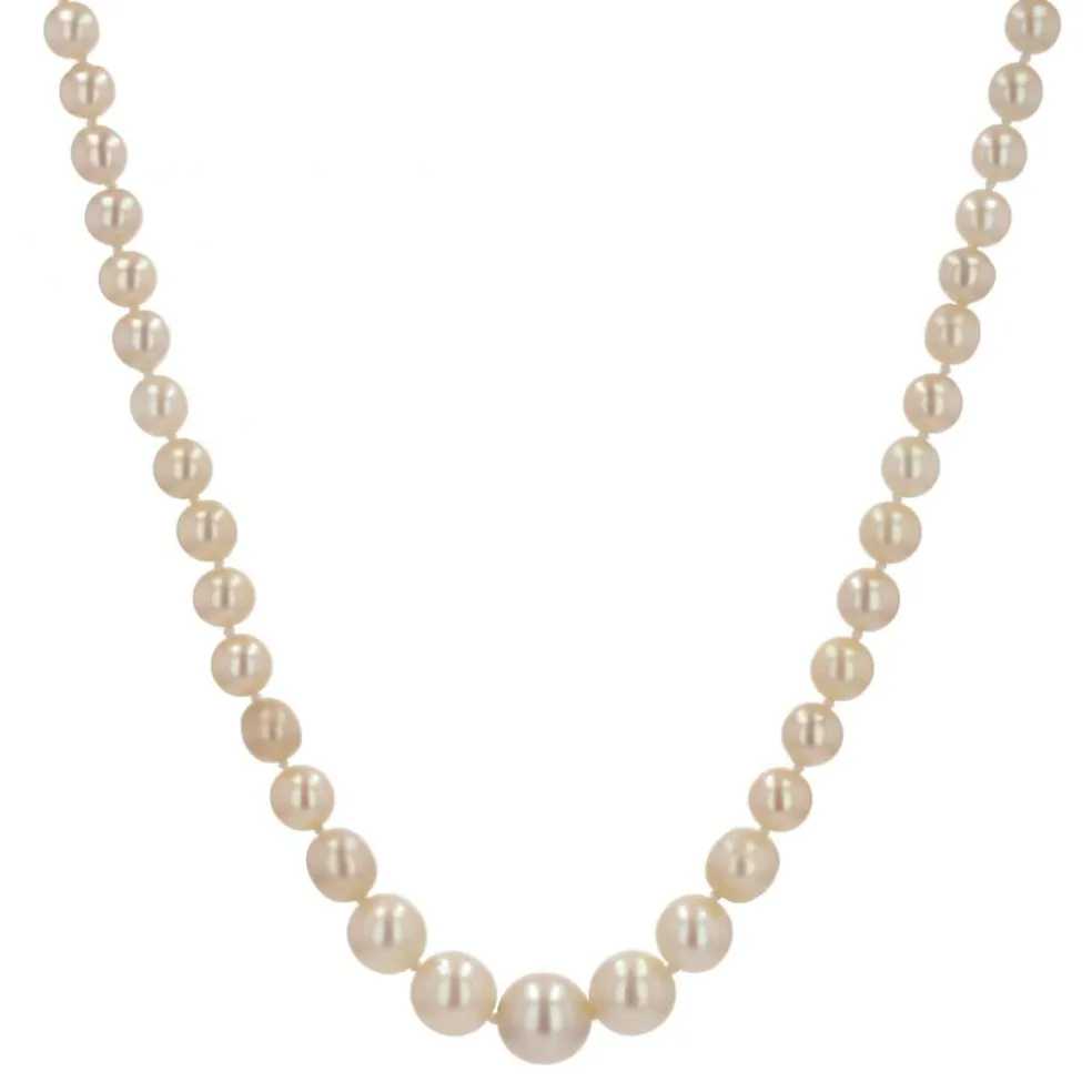 Collier perles de culture en chute