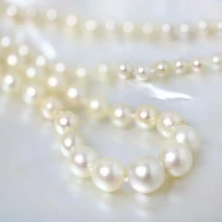 Collier perles de culture en chute