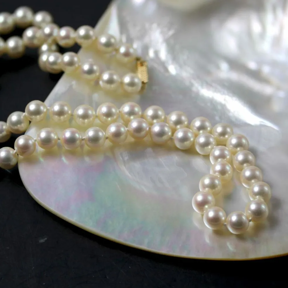 Collier perles de culture choker