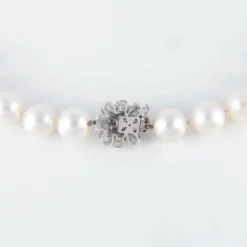 Collier Perles des Mers du Sud