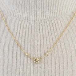 DIOR-ROSE DES VENTS - Collier en or jaune, nacre et diamants