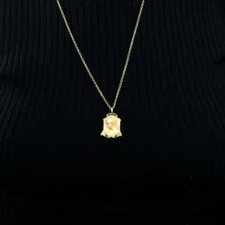 DROPSY-Médaille Vierge sous les lys or jaune