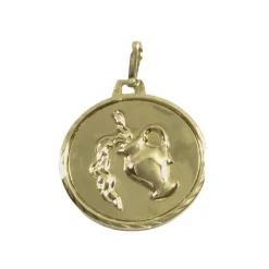 Médaille signe Verseau