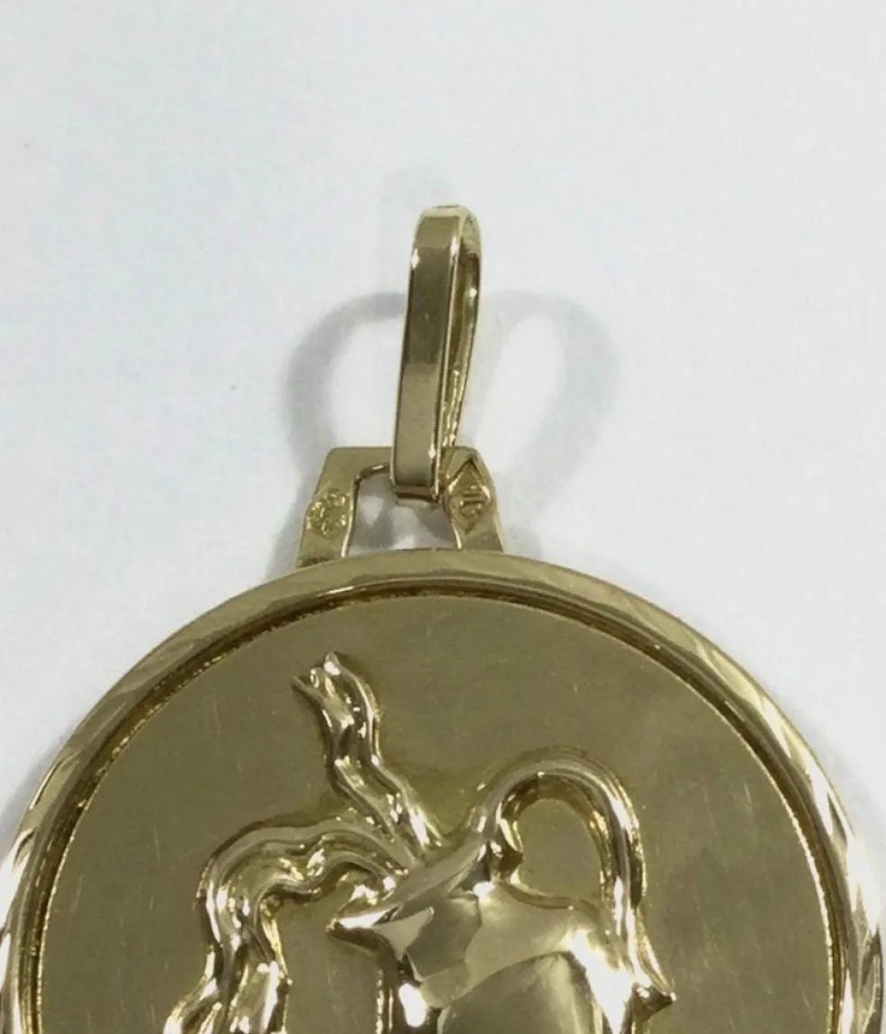 Médaille signe Verseau