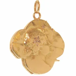 Médaillon porte-bonheur Art Nouveau Diamants