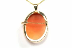 Pendentif - Broche années 70 or jaune, camée coquillage