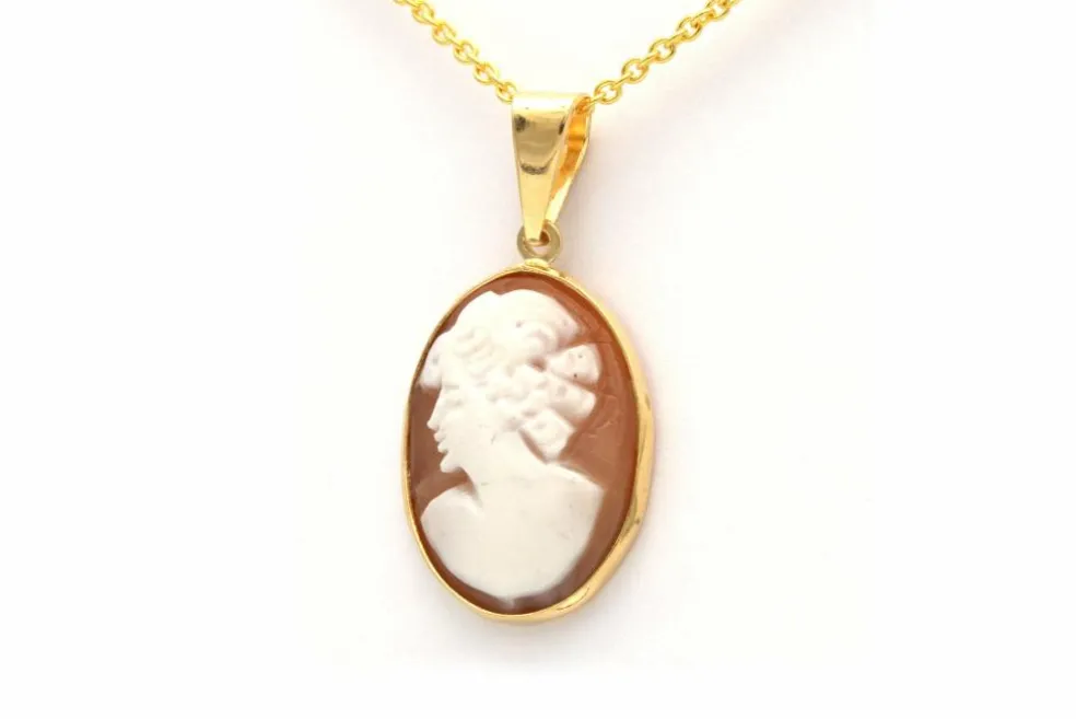 Pendentif Années 70 en or jaune 18 carats serti d'un camée