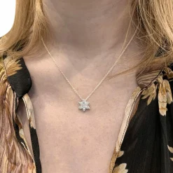 Pendentif en or blanc, étoile diamants.