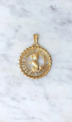 Pendentif Or jaune Caniche