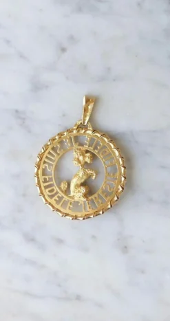 Pendentif Or jaune Caniche