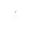 Pendentif étoile de David Or blanc