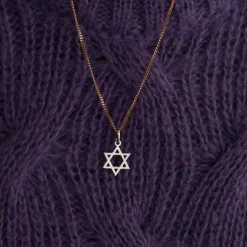 Pendentif étoile de David Or blanc